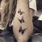 Image de profil de butterfly_sr