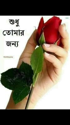 DuJjaman's profile picture. 