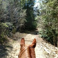 conservative post (@tnhorse1) 's Twitter Profile Photo conservative post (@tnhorse1) 's Twitter Profile Photo