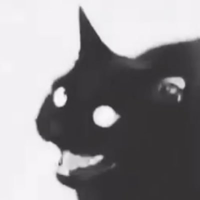 dearynasty's profile picture. 