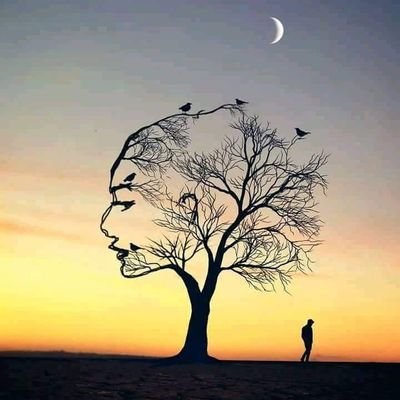RohaMalik10's profile picture. 
