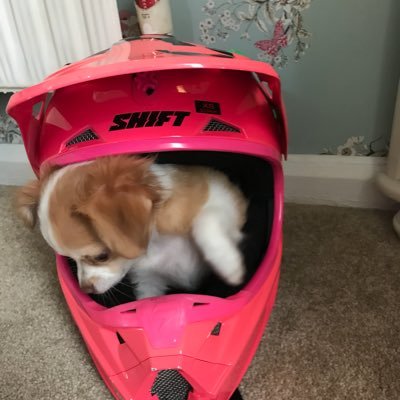 Johenry31's profile picture. 