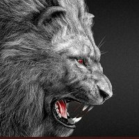 Dracarys (@sedatkcan) 's Twitter Profile Photo Dracarys (@sedatkcan) 's Twitter Profile Photo