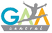 GaaCentral's profile picture. We are a family friendly gym with a high quality, professional coaching staff and a fun atmosphere.