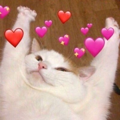 zoooooooeeeeeee's profile picture. 