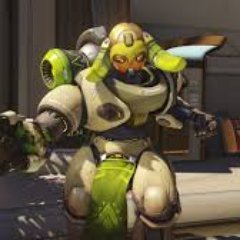 joezt3's profile picture. 