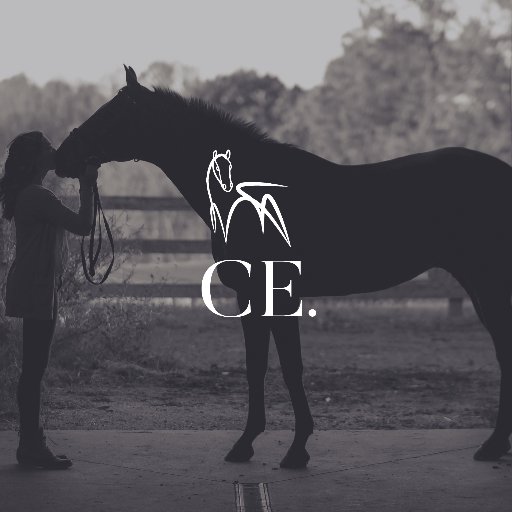 Crafted Equestrian is a Northern Ireland based equestrian design company that has been born out of passion and love for horses.