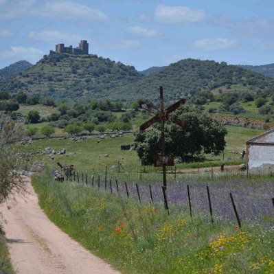 Come discover the treasures of Extremadura, Spain's least known region. From Romans to Templars to conquistadors, haute cuisine, wine, adventure, all in one.