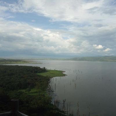 Ibrahimlqj's profile picture. Writer