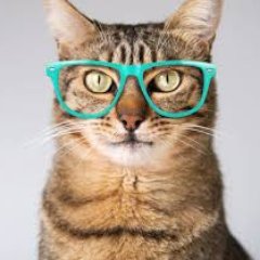 Alexis_H50's profile picture. I love tv shows and books, I can never seem to get enough of them.