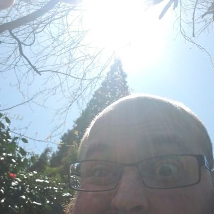 kingservo's profile picture. Read more. Drink more. Think more.