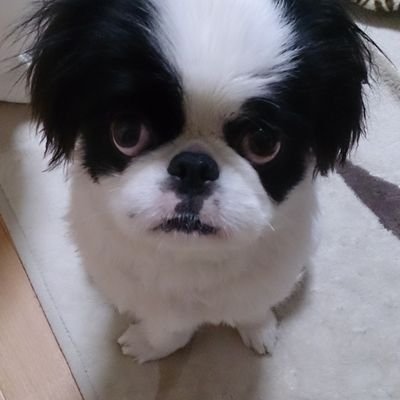 mememexxx5555's profile picture. 