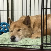 RudyDay (@rudyday19) 's Twitter Profile Photo