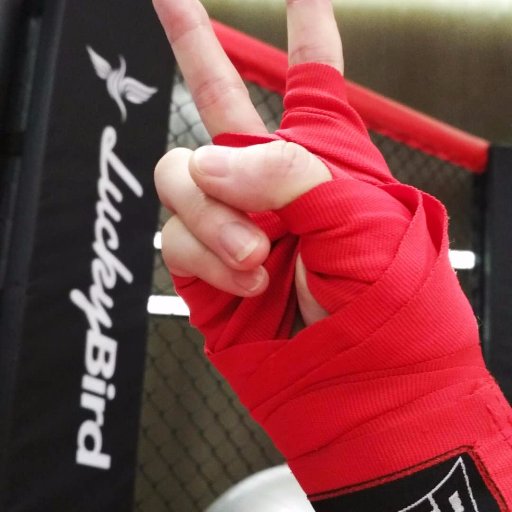 furongxin1994's profile picture. 