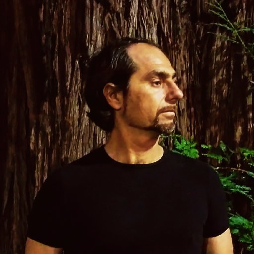 Erik Amin has been an instructor for most of his life. He started teaching in the arts by instructing music for four years.