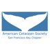 American Cetacean Society - San Francisco Chapter (@ACSSanFrancisco) Twitter profile photo