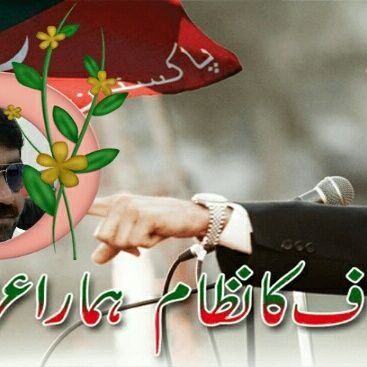 ali_guld's profile picture. guldali khan p t i