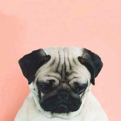 aiina92's profile picture. 