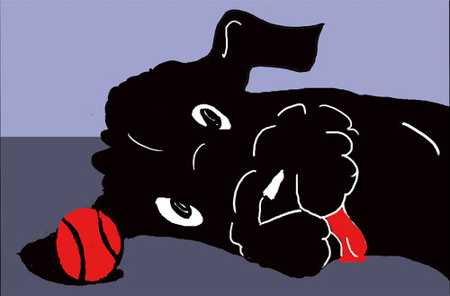 liberaldoodle's profile picture. I am a loyal hound