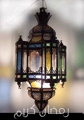 xa_maxamed's profile picture. 