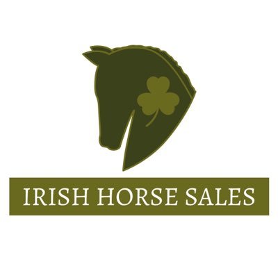 Irish Horse’s for sale