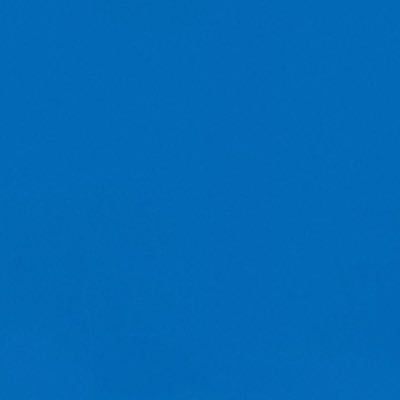 PhyllisGrint's profile picture. ‘Blue is the warmest color’💙