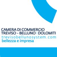 trevisobellunosystem(@TrevisoBelluno) 's Twitter Profile Photo