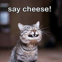 Say Cheese (@saycheese_funny) 's Twitter Profile