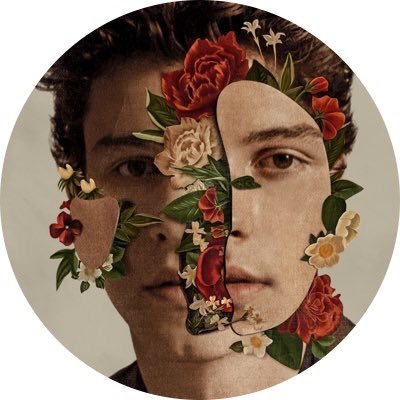 The Dutch Shawn Mendes Streetteam! Illuminate is out now on iTunes! https://t.co/KAJtHD3t1T Contact : shawnstreetteam@outlook.com