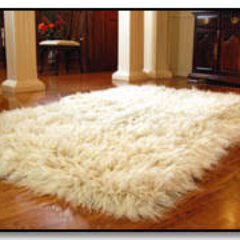 flokati_'s profile picture. Έχω κατακτήσει τα καλύτερα σπίτια