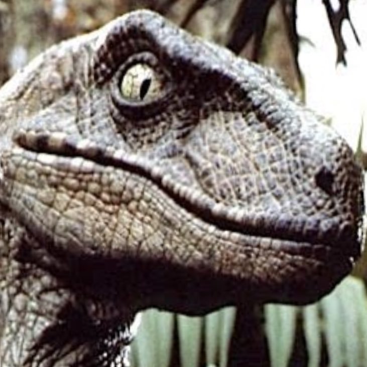 superyannou1's profile picture. 