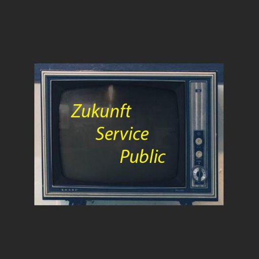 Service public: Publikumsakzeptanz und Zukunftschancen