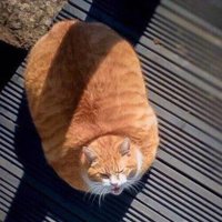 Zervero (@zd52614352008) 's Twitter Profile