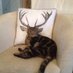 ZzZzZz (@onedestiny82) Twitter profile photo ZzZzZz (@onedestiny82) Twitter profile photo
