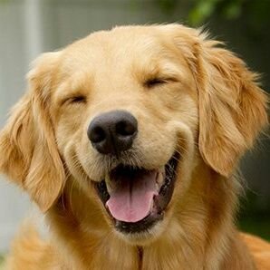 TheAero28's profile picture. ``Aero``

Insane humano, Espantapájaros lvl 99.
Gran admirador de los videojuegos y el anime.
Gachapon lover