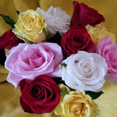 wcadena01's profile picture. 