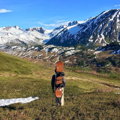 fgolota251's profile picture. 