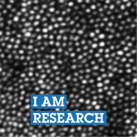 UCL Retinal Phenotyping (@ucl_retina) 's Twitter Profile