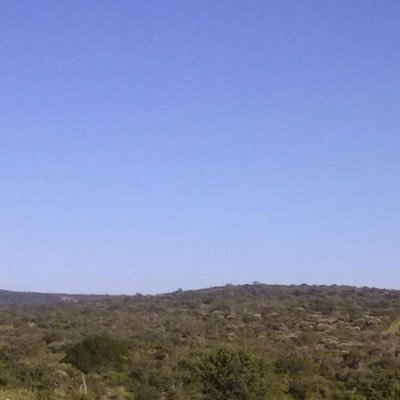 karolzi94643626's profile picture. 