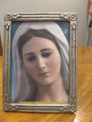 Silviadeseip1's profile picture. 