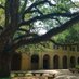 LSU History Department (@historylsu) Twitter profile photo LSU History Department (@historylsu) Twitter profile photo