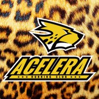 Acelera Running Club(@AceleraRunning) 's Twitter Profileg