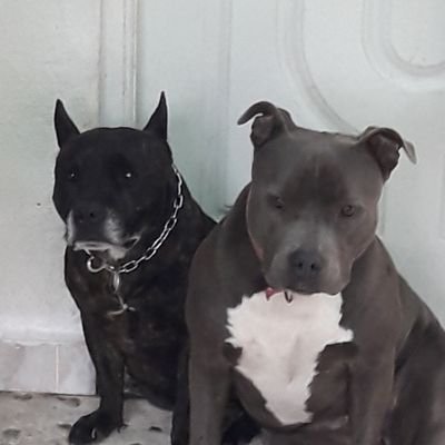 Mauro00863094's profile picture. 