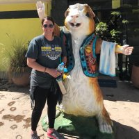 Abbie Huenink (@ms_huenink) 's Twitter Profile