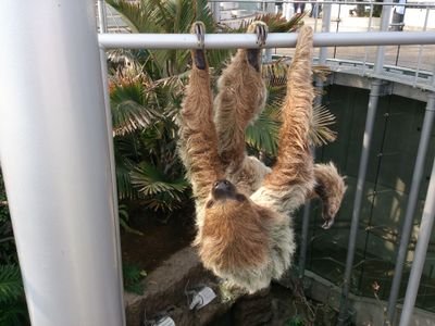 keroxyz's profile picture. 