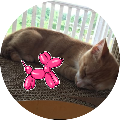 kimi_mt's profile picture. 猫と時臣師と典くんが大好きです。LDHとsecond （ケンチさん）のおかげで幸せ🍓2020年から宝塚も観劇中。花組推し。成人済み。ほぼ見てるだけのアカウントです。