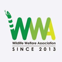 Wildlife Welfare Association (WWA) (@wwa_india) 's Twitter Profile