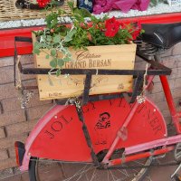 Jolly Vintner (@jollyvintner) 's Twitter Profile