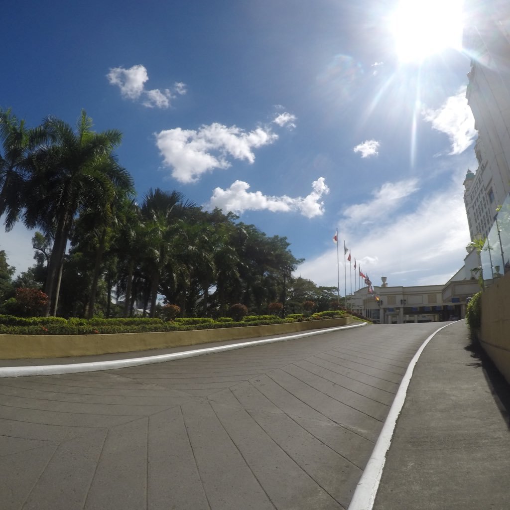 gamugamu16's profile picture. 