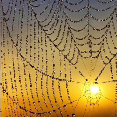 Les mots sèment puis ils s'aiment, 
s'entremêlent et se mêlent à l'amour à l'infini...